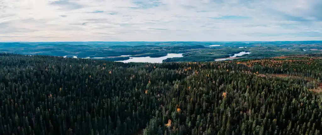 Skog och sjöar sedda ovanifrån i ett vidsträckt landskap