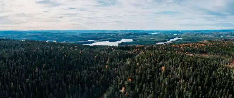 Vidsträckt svensk naturvy för husbilssemester