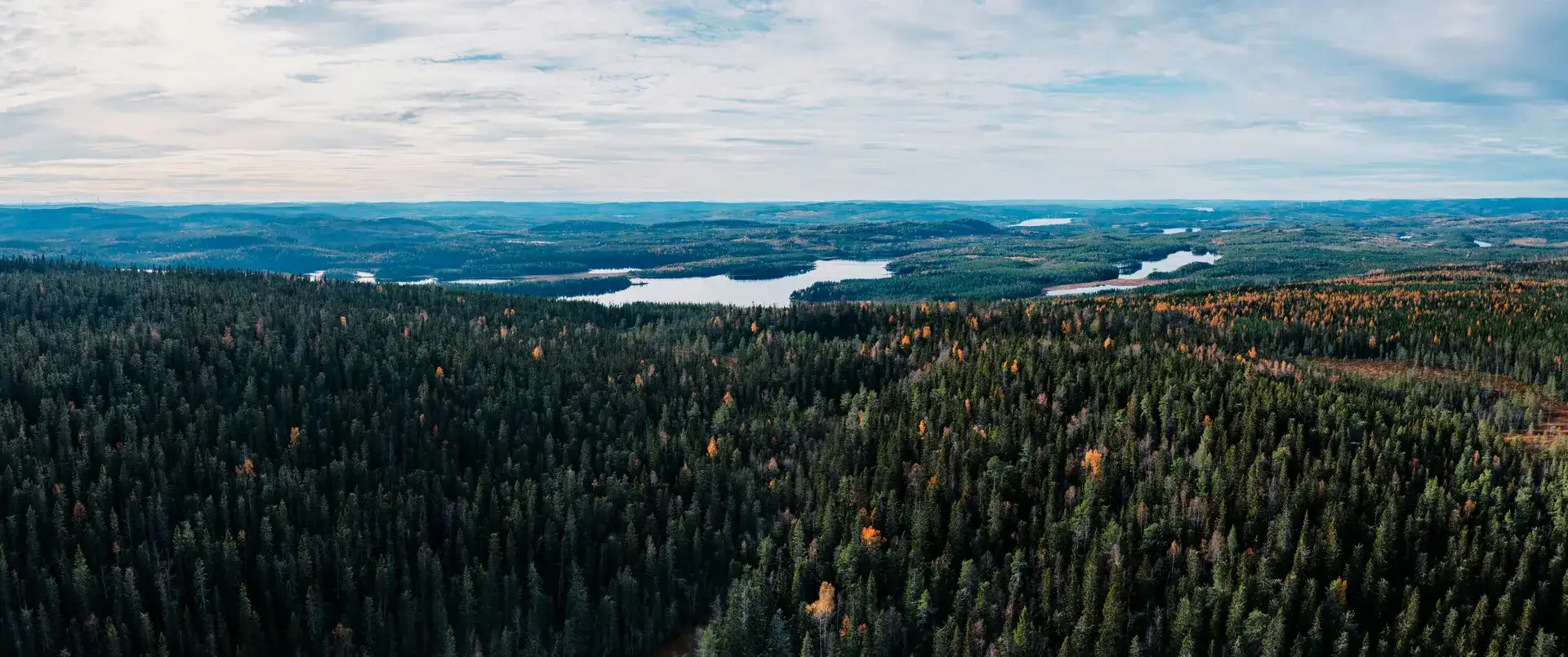 Vidsträckt svensk naturvy för husbilssemester