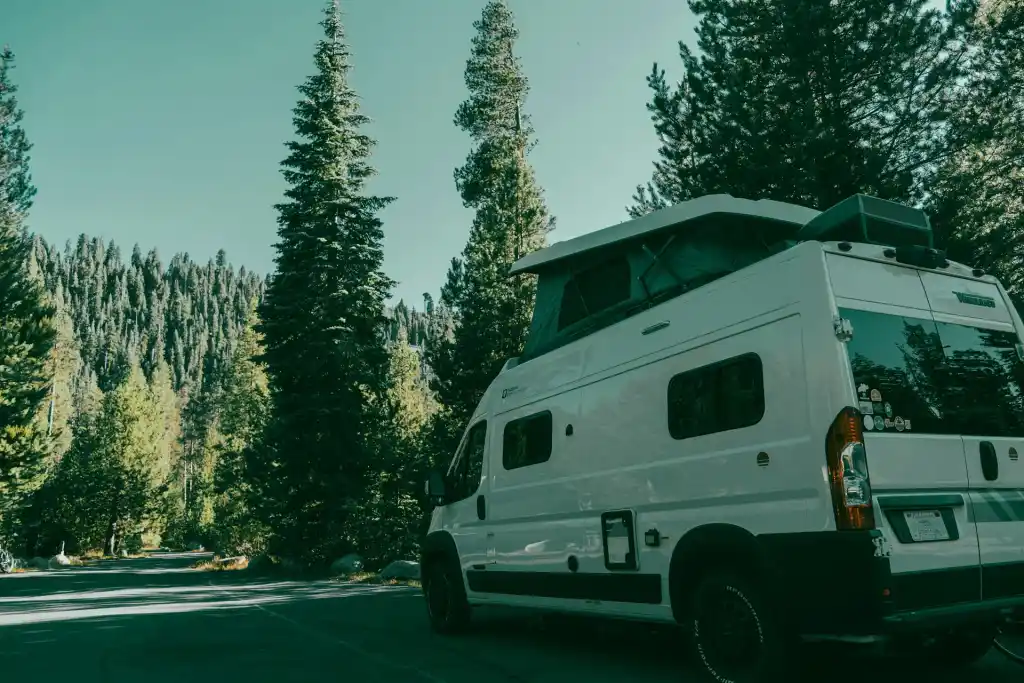 Vit campervan parkerad på en skogsväg bland höga tallar