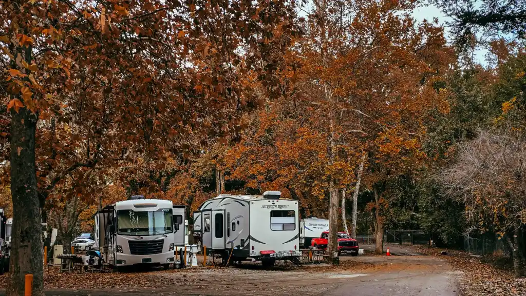 Husbilar på en camping omgiven av höstfärgade träd